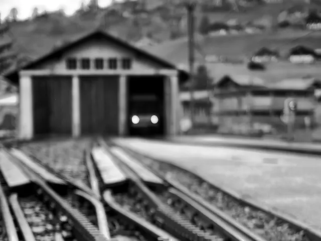 Economy's expansion surged to 6.3%