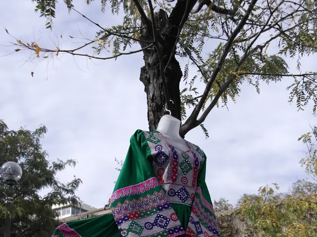 Bridal retailer David's Bridal cuts its workforce by more than 9,000 employees while seeking to...