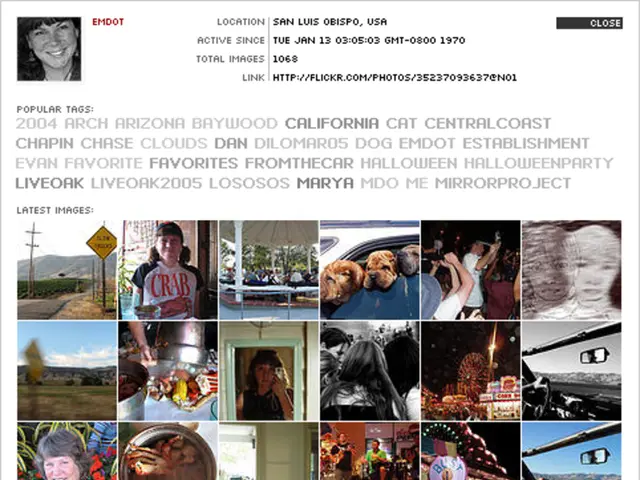 Leadership Illustrations Expanded: Fresh Ideas, Concepts, and Visual Arrangements Showcased