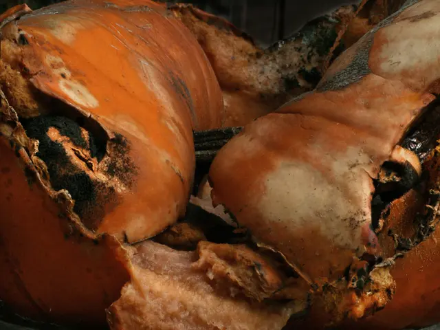 Tönnies factory faces calls for ethical labor standards following the outbreak