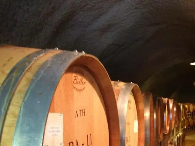 Stock exchange expert Hellmeyer issues a cautionary statement, predicting a potential seismic...