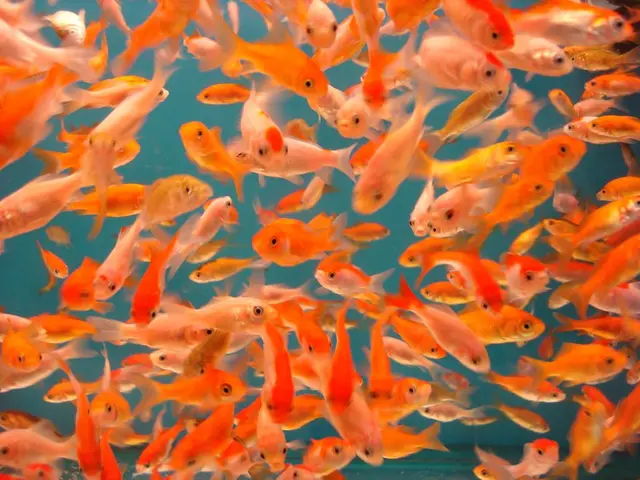 Funds of 305 million tenge allocated for research in the Caspian Sea