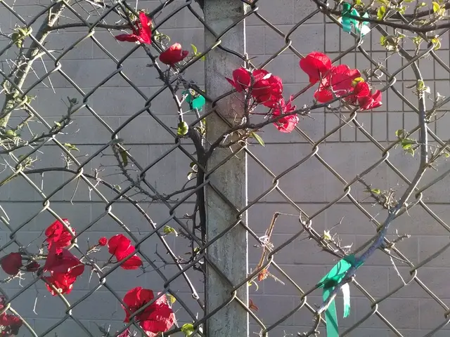 Simple Guide for Consistent Investment in Real Estate Property