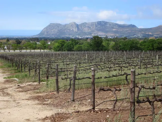 Steer Clear of Typical Errors When Buying Agricultural Land in India