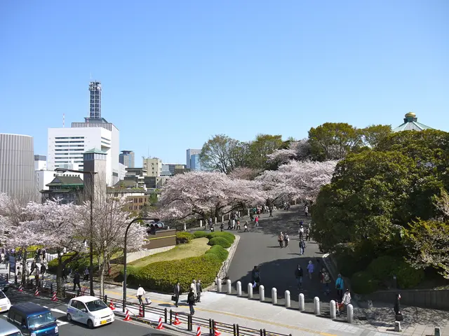 Extended travel delays on Saxony's highways during vacation periods
