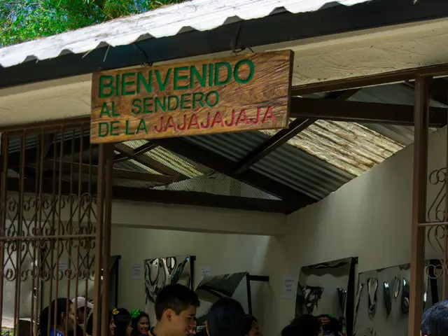 Global Trade Hurdles and the Efficiency of Aid Programs for the UK's Artistic Sectors