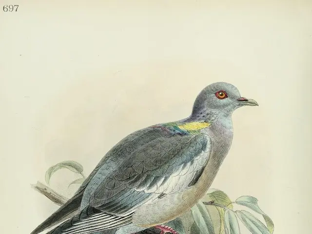 "The Duration ofEvents Remains In Doubt": Steam-PayPal Separation, with Valve Highlighting...