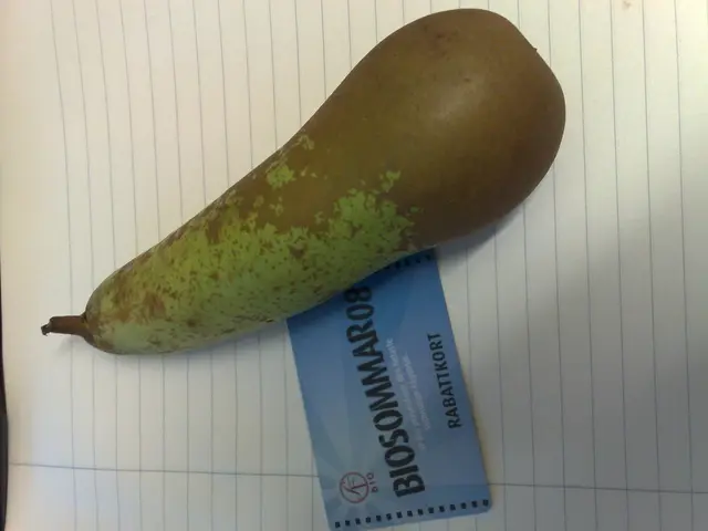 Caution on Fixed Money Investments: The enticing high-interest rate should serve as a deterrent...