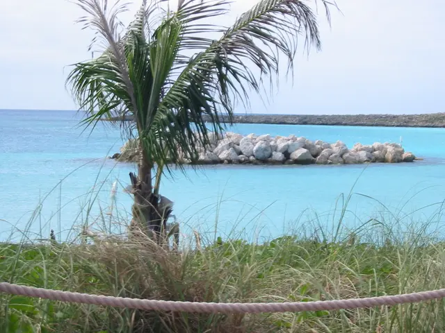 Despite potential US influence, Philippine businesses are upholding climate policies, according to...