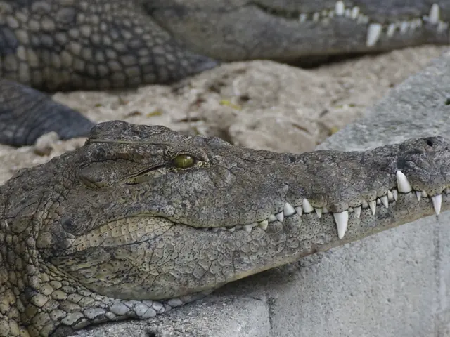 Fourteenth Africa Cement Trade Gathering