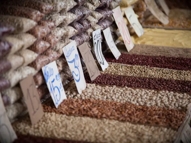 Identified instances of malpractice in grain export documentation within Tyumen region