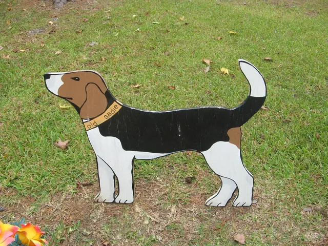 Dogecoin's Open Interest Submerged, Reaching 15.16 Billion DOGE