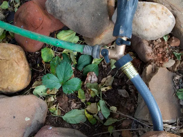 Minerals Search Corporation Declares Plans for Convertible Loans and Debt Conversion Via...