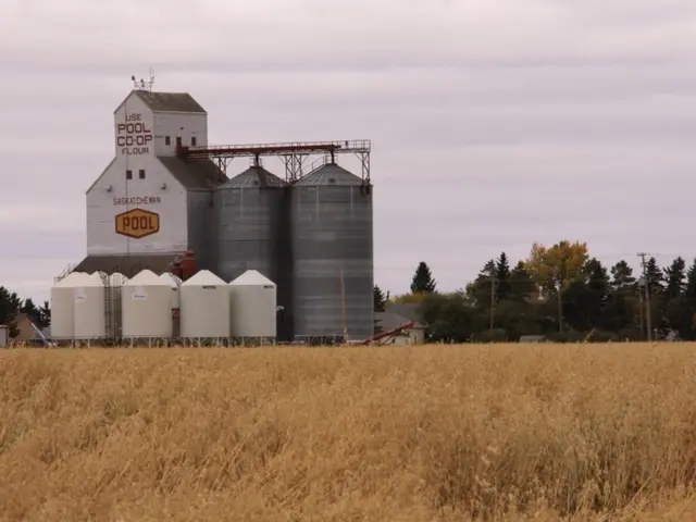 Oil company on course to generate an additional $7 billion in surplus funds by 2029