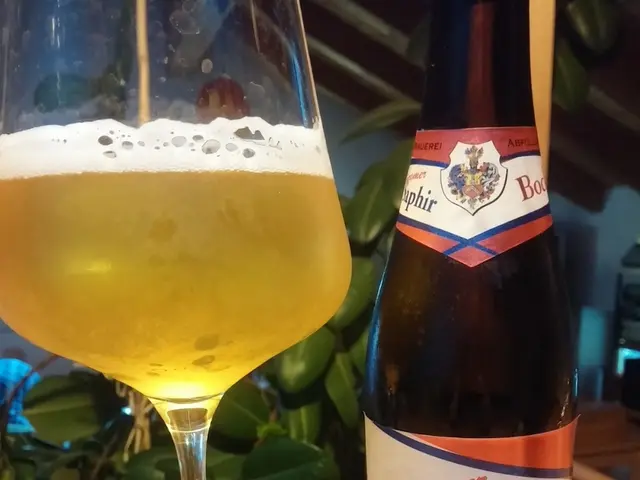 Harvesting vineyards in 2025 projected to yield bountiful grapes