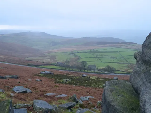 Escalating peril in the Amazon: Emergence of Colombia's hydropower initiative