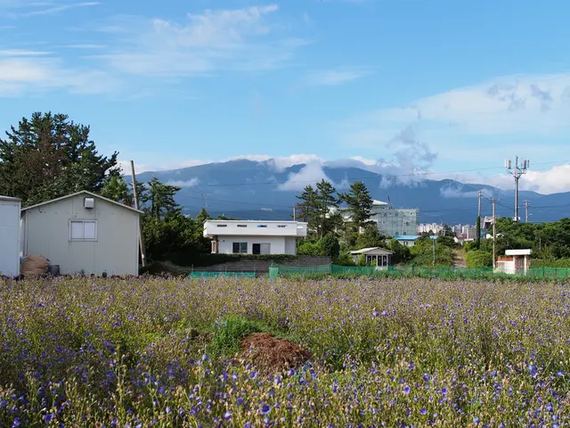 Grid operators support Trump's coal industry revival plan