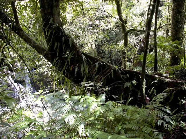 Collaborative effort spearheaded by leaders announced