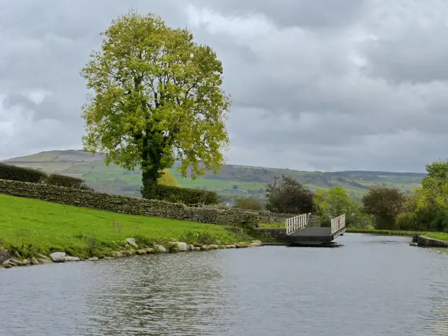 There is water. Near to the water there is a bridge. On the sides there are rocks, grass. Also...