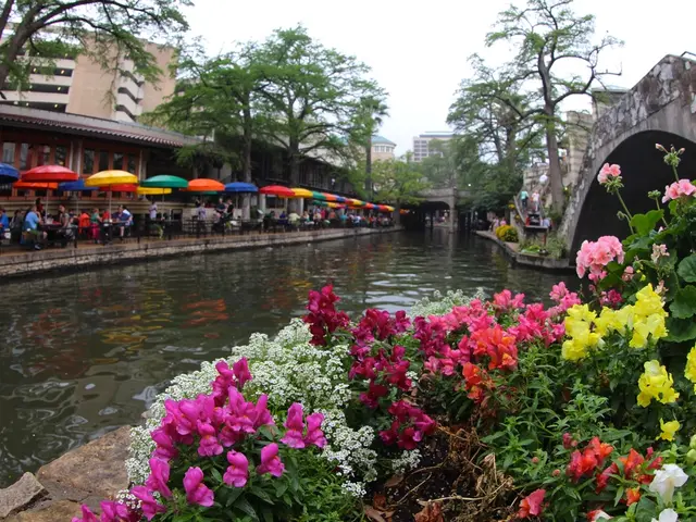 In the image there are many plants in the right side and in the middle there is a canal and on the...