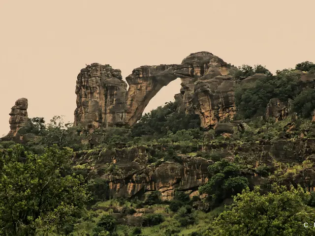 In this picture there are trees and there is a rock mountain above it and there is something...