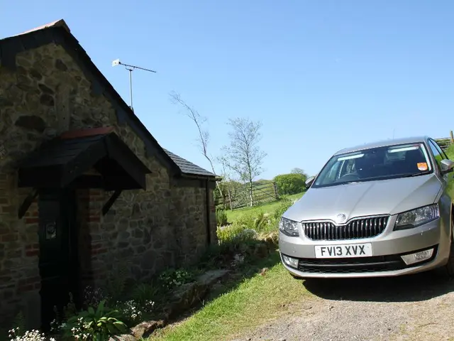 On the right there are car, plants, current pole, grass and soil. On the left there are plants,...
