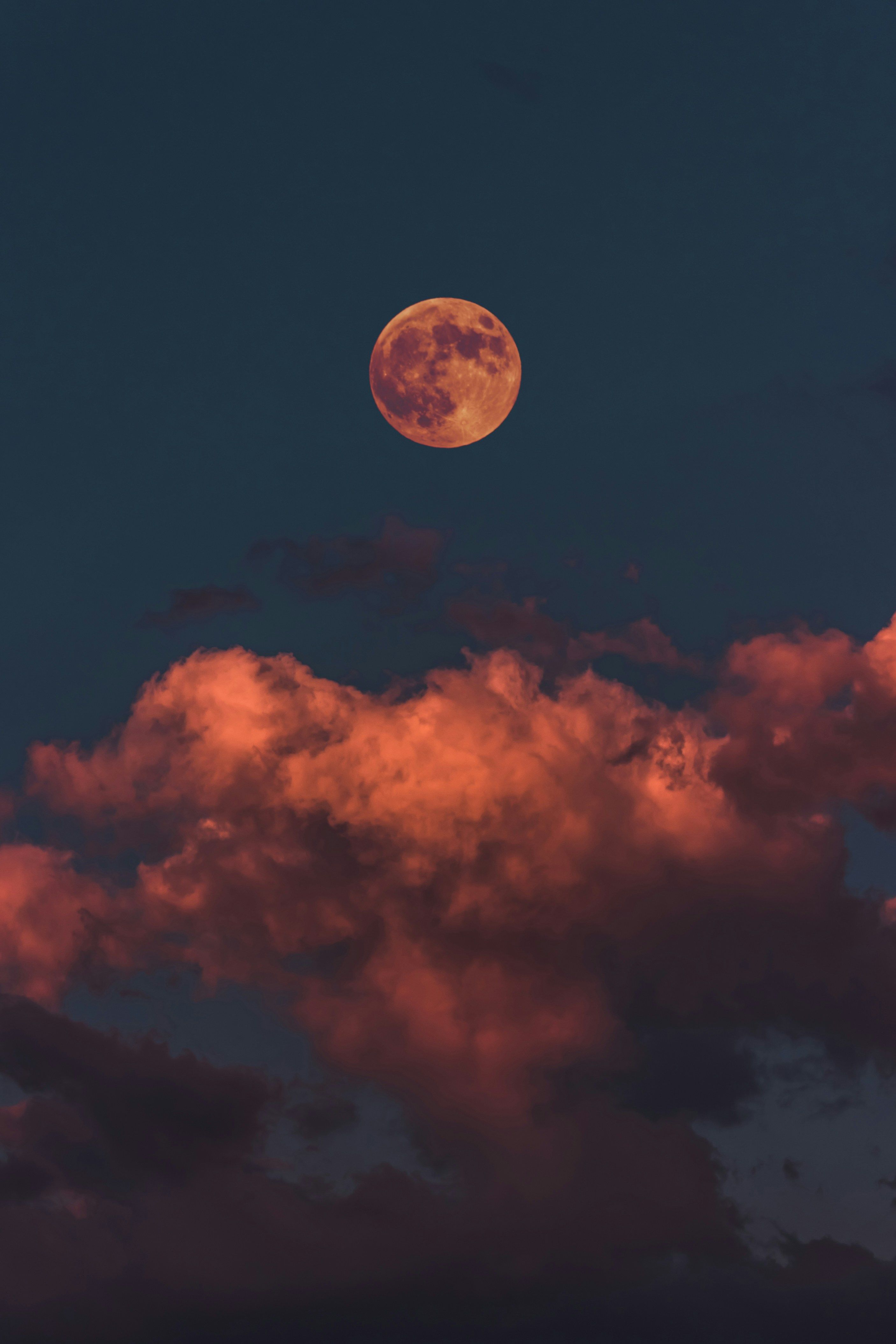Bitcoin (BTC) could encounter significant price fluctuations in the upcoming weeks due to market turbulence caused by Donald Trump's tariffs, according to a prominent crypto analyst.