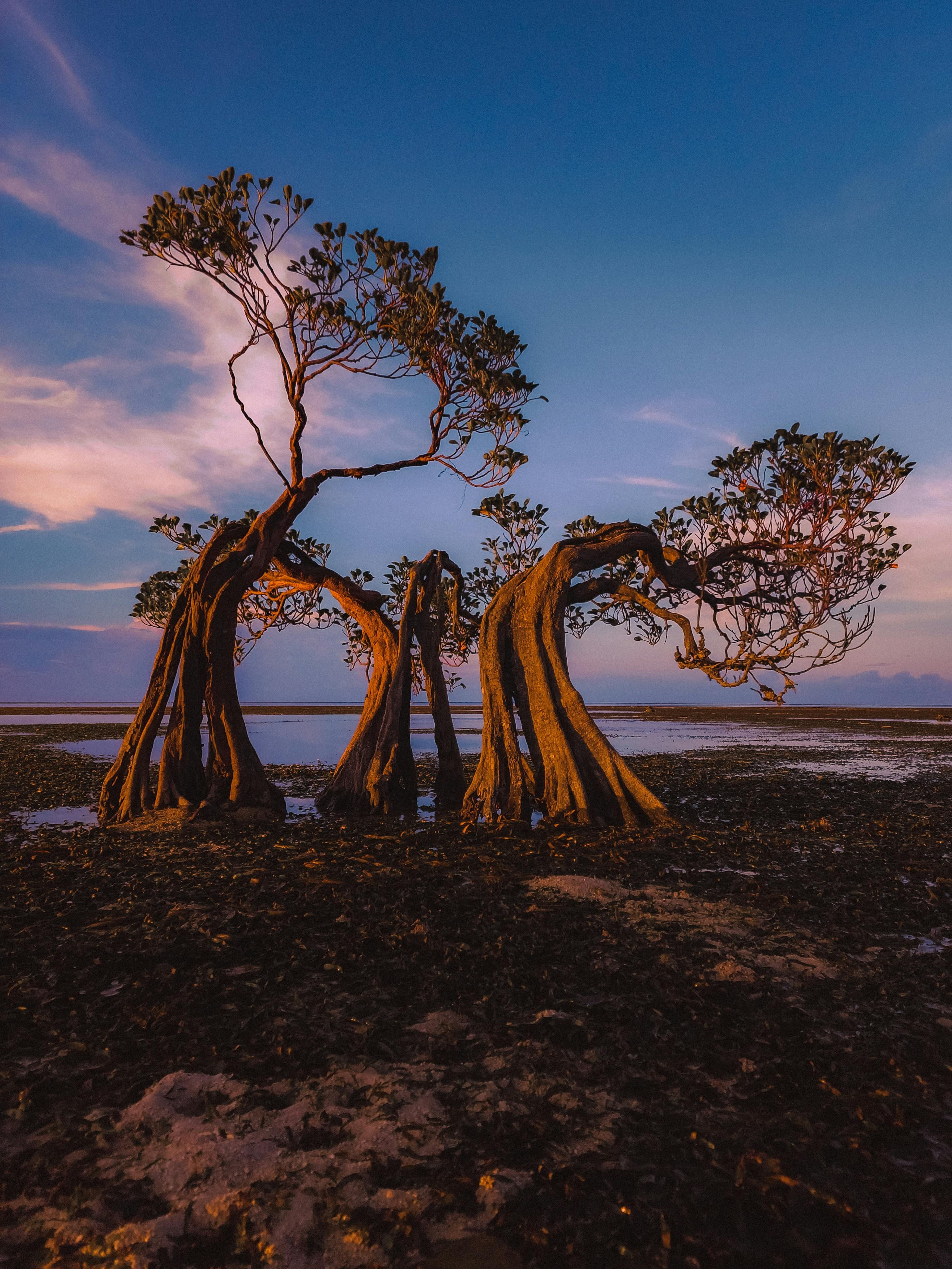 Image depicts a group of suspected extremists, identified as members of a known organization, gathering in secrecy, within a dimly lit, secluded area, possibly planning illegal activities. Latest Cryptocurrency News Roundup from U.Today: Insights into the crypto world's events during the final weekend of April.