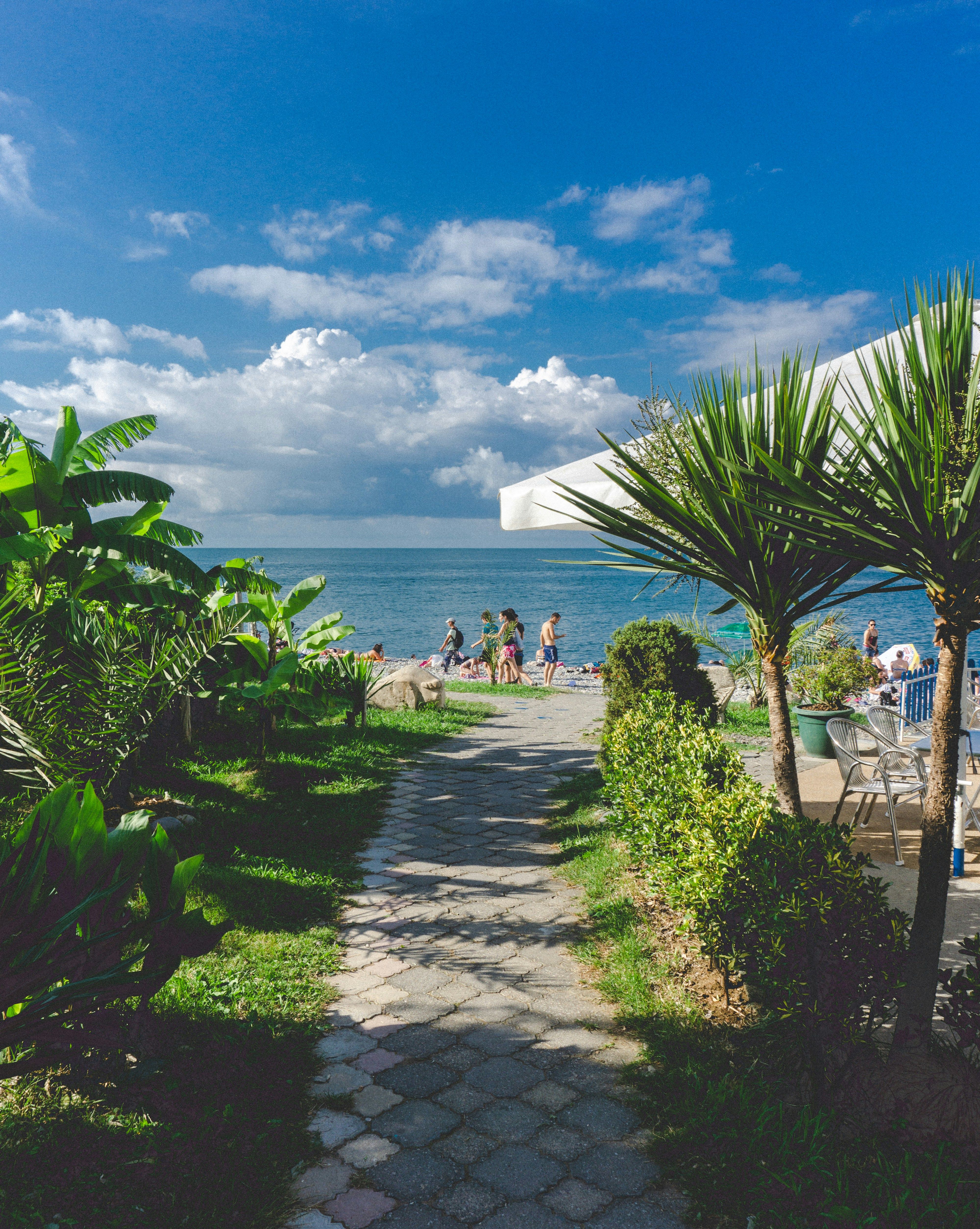 Real estate firm Mana Projects unveils Mana Vista, a high-end residential development nestled...