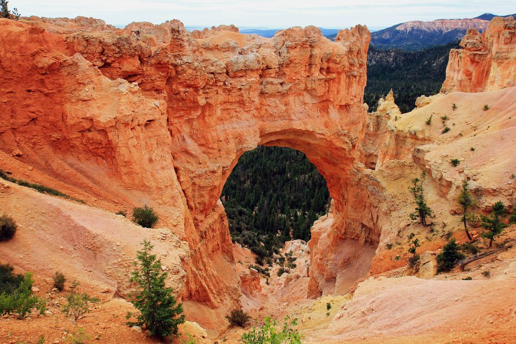 July energy bills decreased by 7%, yet Ofgem urges capped-price users to compare deals as potential...