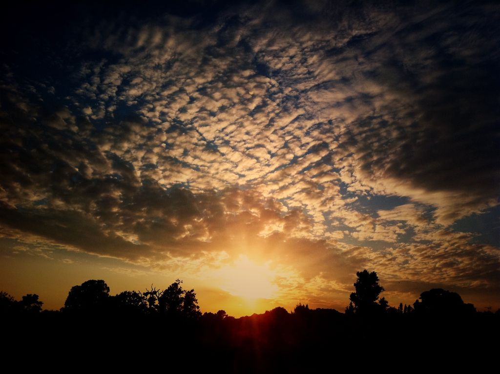 Middle Eastern war drives up heating and fuel costs in Germany: Analysis and predictions moving...