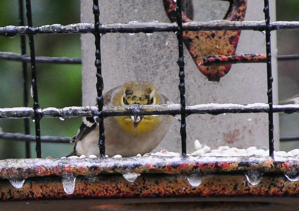 Stock market plummets due to escalating concerns about Middle East tensions